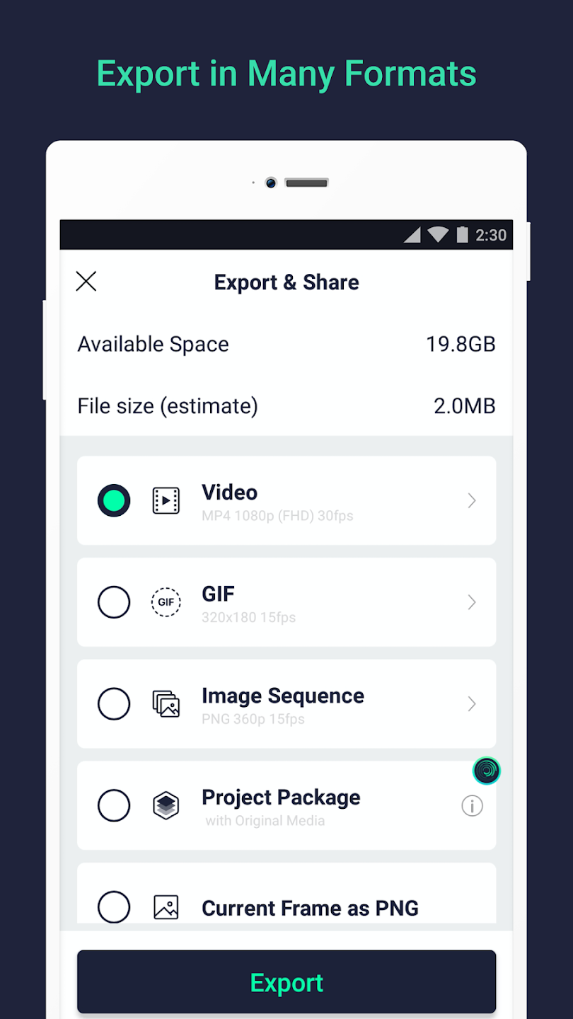 Export in many formts - Alight Motion